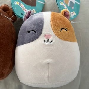 Squishmallow bundle
